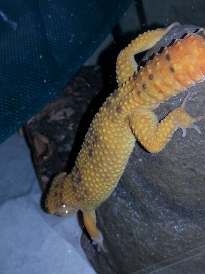 10847893 10204479556083084 6015194316724610379 n