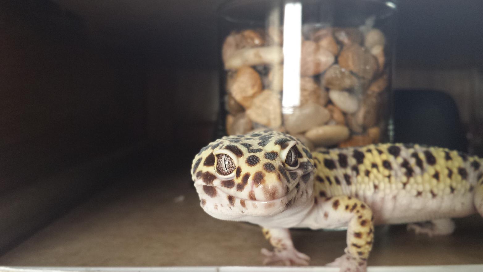 A walking Kodak moment. Even models are jealous of his natural ability to pose for the camera.