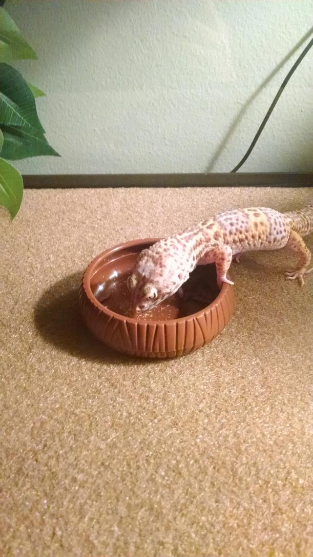 IMG 20150923 185019090