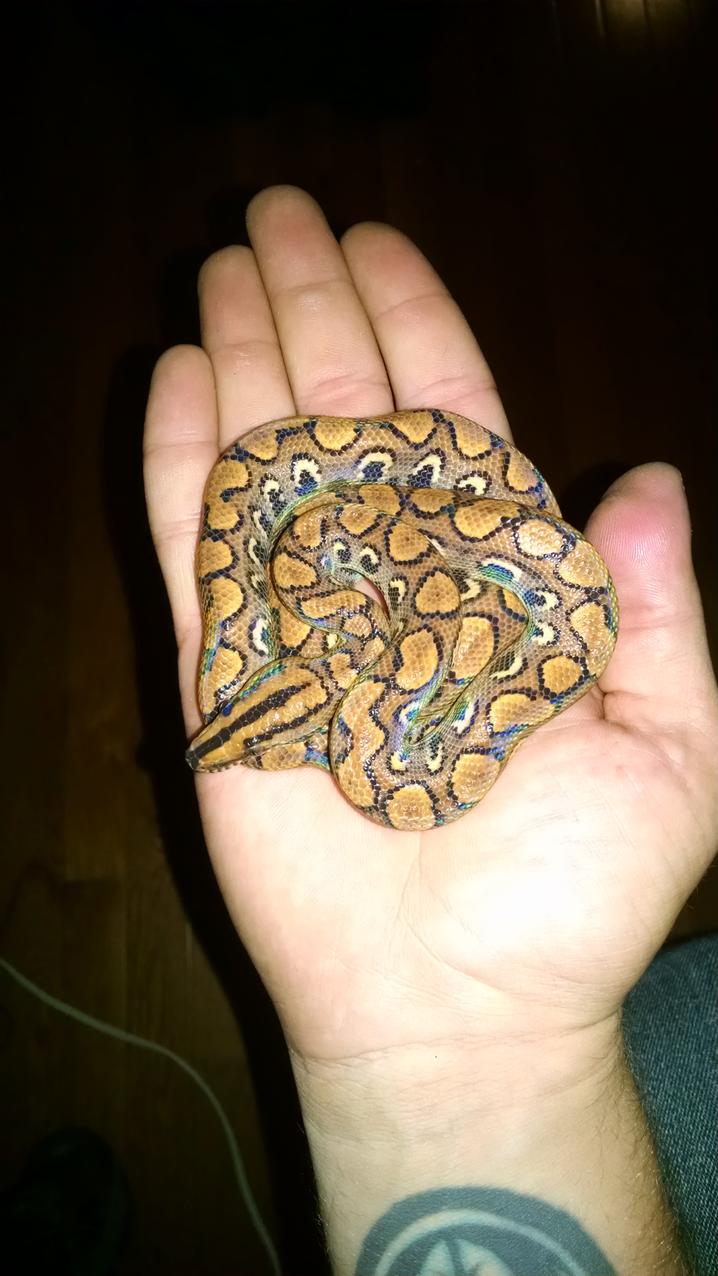 IMG 20150922 154405026