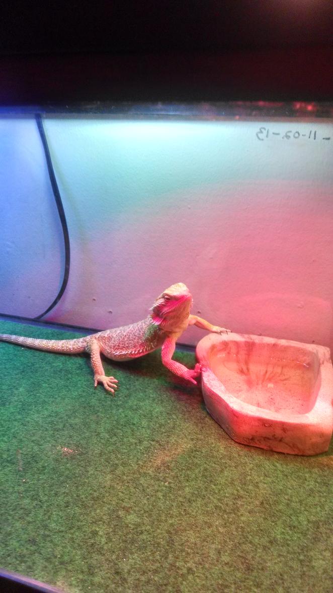 IMG 20140712 225332392 HDR