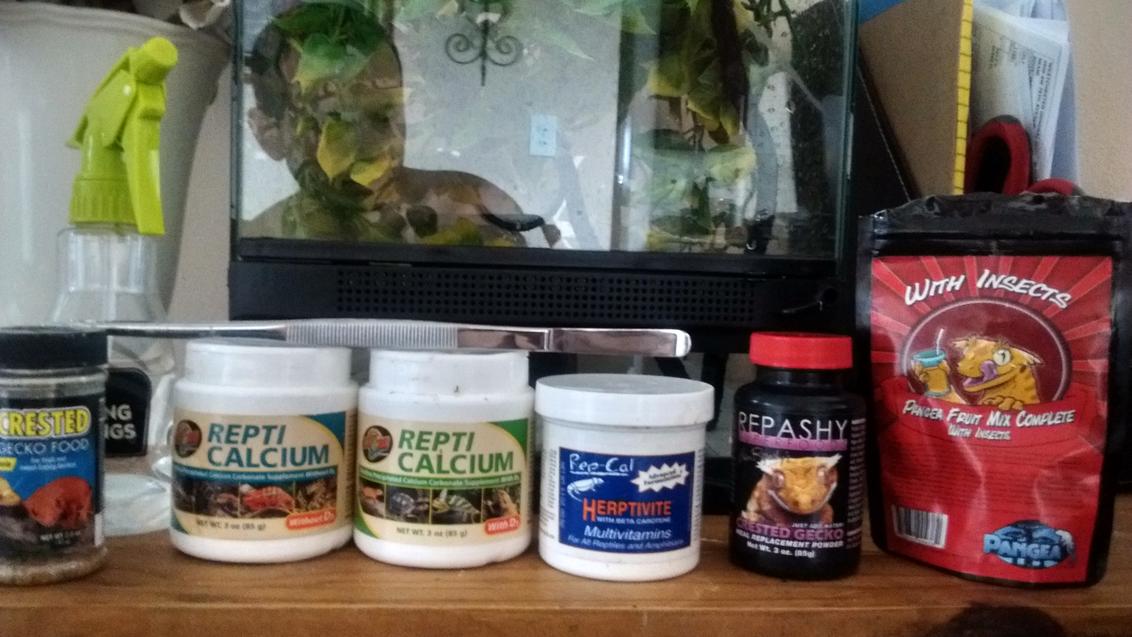 My cresties supplements