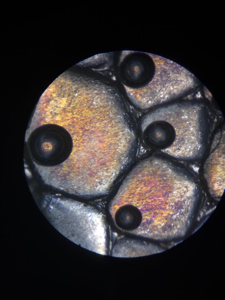 Skin cells and pigmentation