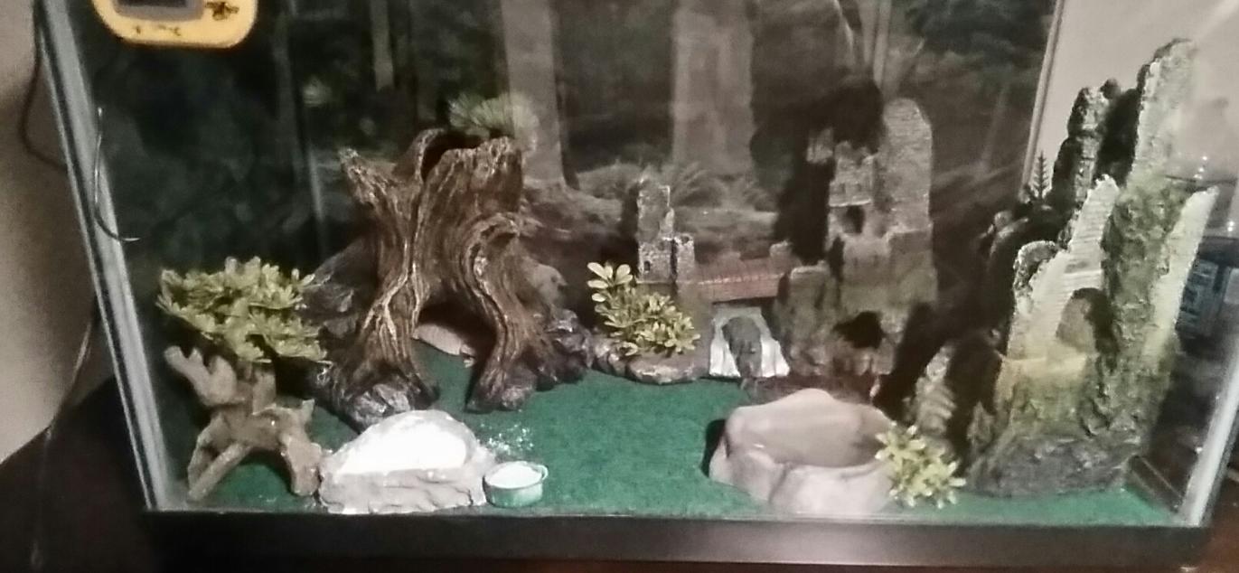 Juv. Tank