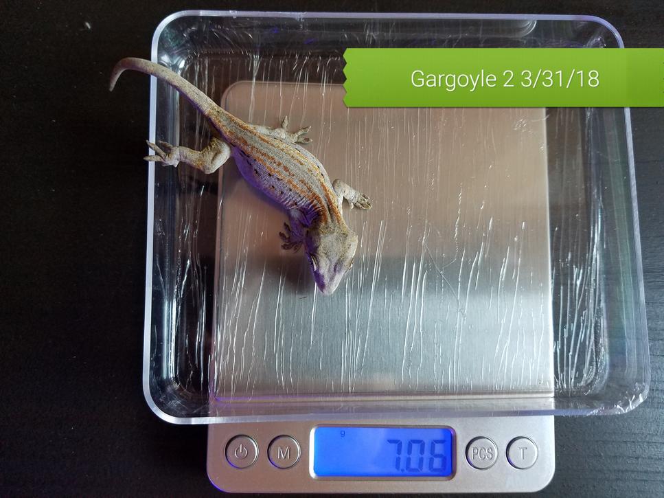 20180331 181116