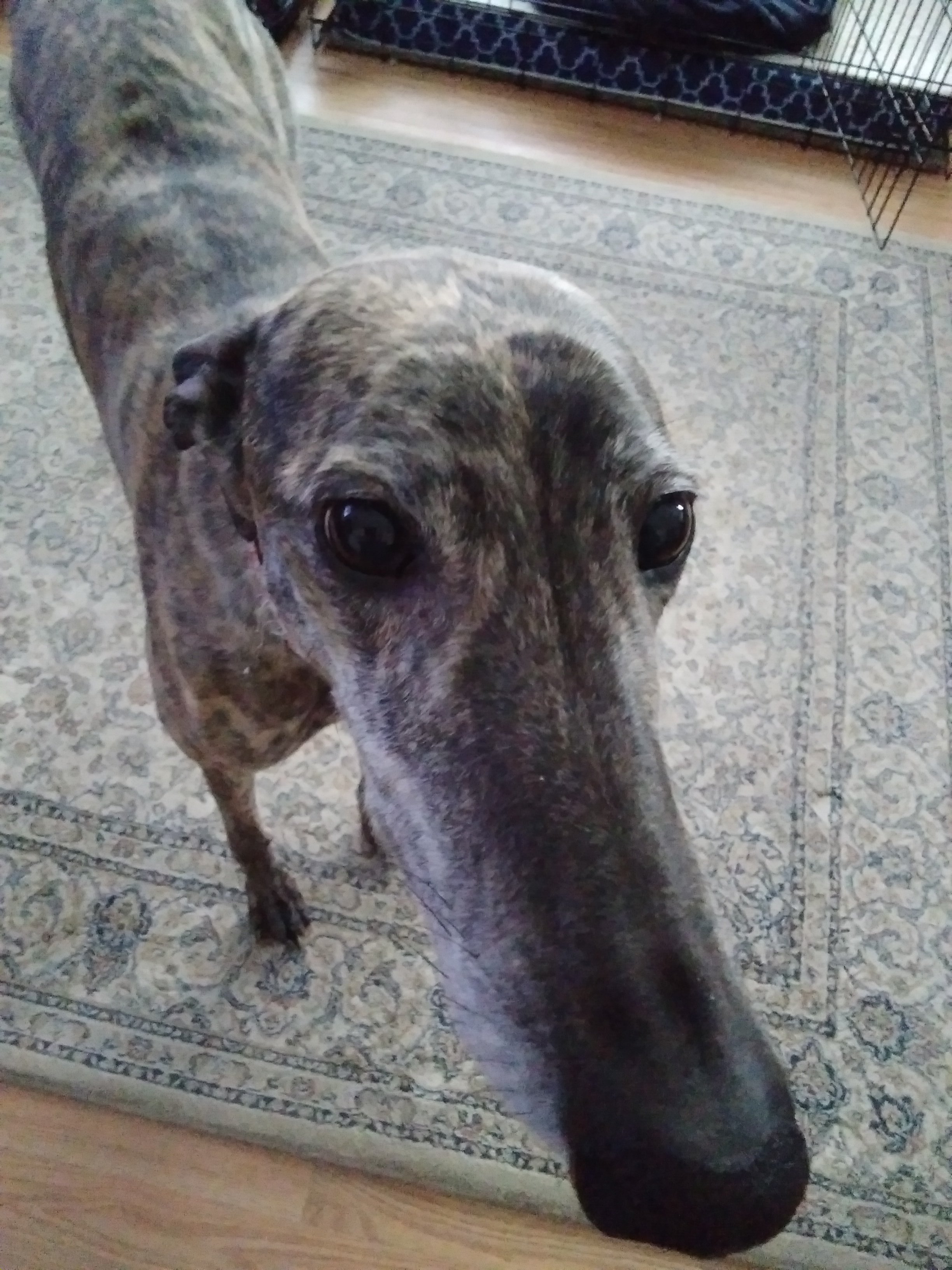 20230312_171251.jpg