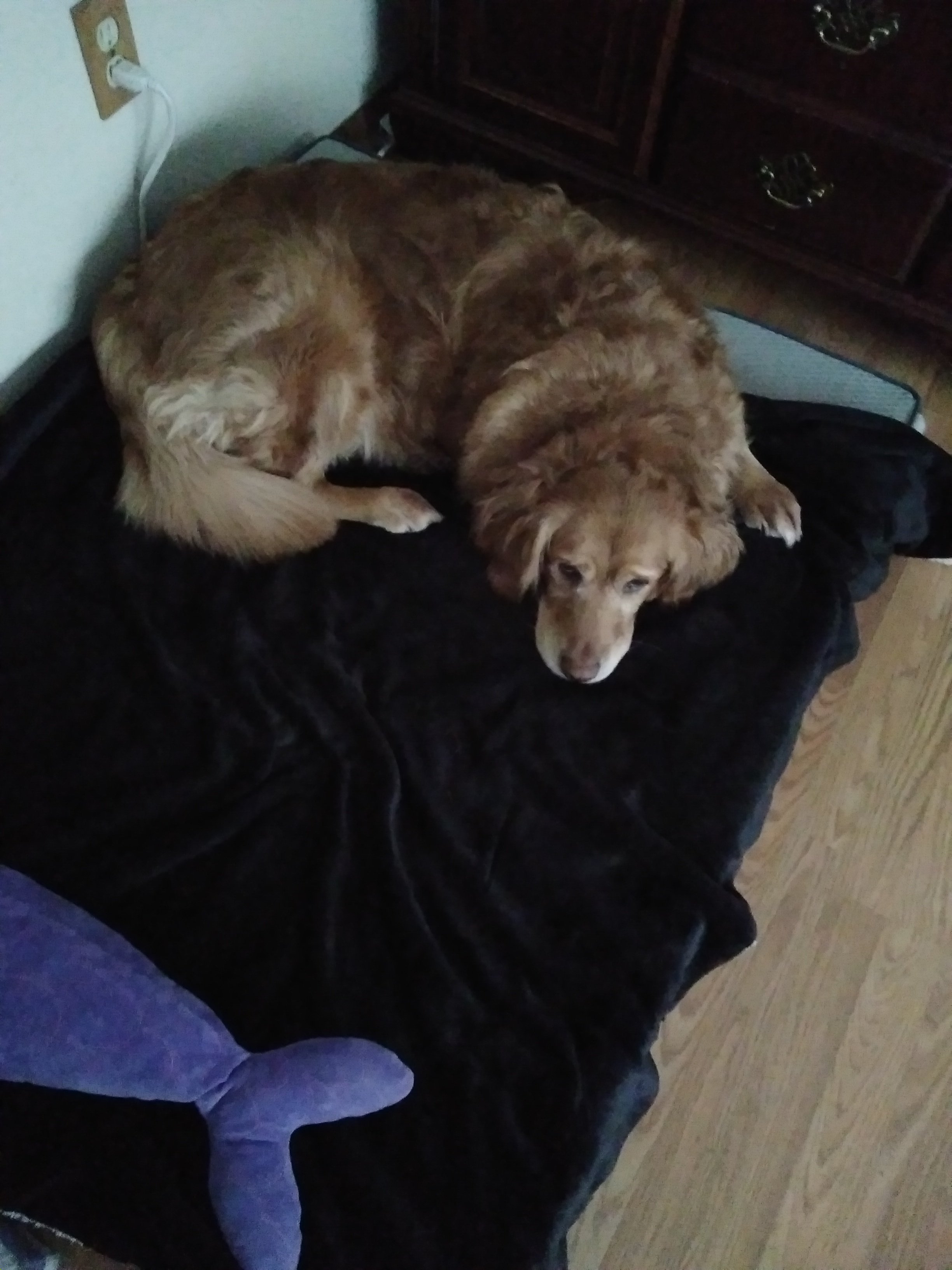20230312_171257.jpg